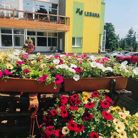 Stará Lesná Hotel Lesana المظهر الخارجي الصورة